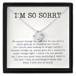 I’m Sorry Gift Necklace Gift Apology Gift For Partner Gift for Wife Gift For Girlfriend Gift from Boyfriend/Husband Sterling Silver Necklace Gift for Wife Gift for Girlfriend