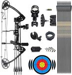 Lanneret Compound Bow and Archery S