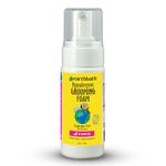 Earthbath All Natural Hypo-Allergenic Cat Grooming Foam, 4-Ounce