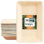 HAAGO 20 Rectangular Palm Leaf Trays 15x25cm - Eco-Friendly, Compostable & Disposable, Microwave & Freezer Safe for Outdoor Dining & Picnics (10" x 6" Rectangle, 20 Pack)