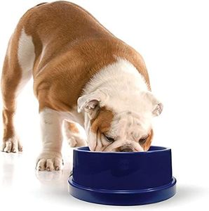 K&H Pet Products Coolin' Pet Bowl Cooling Dog Bowl Pet Water Dish for Large Medium Small Breed Dogs & Cats, Indoor/Outdoor Insulated Ice Cold Dog Bowl - Cooler Blue 96 Ounces