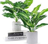 Rxinlucky Artificial Plants in Pot, 2 Packs of 16" Tall Faux Potted Plants in Pot with Monstera and Palm Trees, Small Fake Plants with Pot for Indoor Home Office Bathroom Table Desk Decor