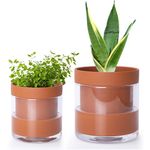 Phoenix Vine 4 Inch 6 Inch Self Watering Planter Pots, Terracotta Clay Pots with Glass Reservoir for Indoor Plants, Herbs, Flowers, 52-A-G-46