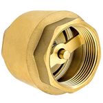 SHYNE Premium 3/4 Inch Non Return Check Valve Made of Brass Robust, Rust-Proof and Waterproof for a Pump, Fountain, Washing Machine, Garden, Rain Butts, Barrel