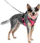 PetSafe EasySport Dog Harness, Adju