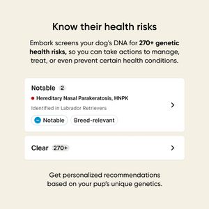 Embark Dog DNA Test Kit – Breed Identification & Health Screening