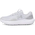 Under Armour Men's Surge Golf Cleat Sneaker, (014) Halo Gray/Halo Gray/Metallic Silver, 13