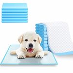 Aksh Disposable Pet Training Pads 60x40 cms Small Puppy Pee and Potty Pads with Quick Drying Surface & Absorbent Core, Suitable for Small/Medium/ Breed Pets, Dogs, Cats - Pack of 1, 20 pcs