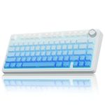 AULA F75 Pro Wireless Mechanical Keyboard,75% Gasket Hot Swappable Custom Keyboard,RGB Backlit,Pre-lubed Linear Switches,Side Printed PBT Keycaps Mechanical Gaming Keyboard,Gradient Blue