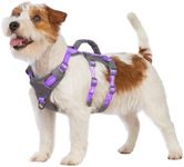 Huntboo Reflective Dog Harness with