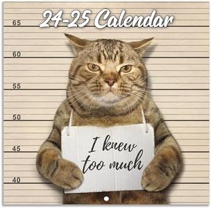 2024-2025 Wall Calendar - NOV. 2024 - DEC. 2025, Funny Cat Calendar 2024-2025, 16-Month Calendar, Funny Cat Memes Pics, 12" x 24" Opened, 2024-2025 Calendar
