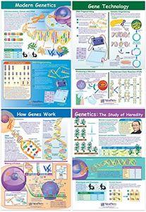 NewPath Learning Genetics & Heredity Posters, Set/4 (Genetics, Modern Genetics, How Genes Works, Gene Technology) - Laminated, Full-Color, 23" x 35" (34-9702)