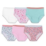 Fruit Of The Loom Girls 6 Pack Assorted Seamless Briefs, Assorted, 4-5T US