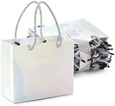 Sparkle and Bash 24 Pack Mini Metallic Silver Gift Bags with Rope Handles, Reusable Paper Gift Bags (6 x 5 x 2.5 In)