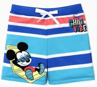 Disney Mic