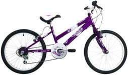 EmmelleDiva Girls' Mountain Bike Purple, 11" inch steel frame, 6 speed steel v-brakes with adjustable levers 20 inch white alloy rims