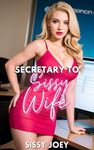 Book 1: Secretary to Sissy Wife: Becoming Boss's Trophy Wife: Feminization, Sissification Novella (Sissy Tales)