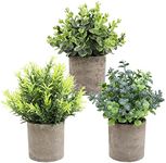 THE BLOOM TIMES Set of 3 Small Potted Artificial Plants Plastic Fake Greenery Faux Plants in Pots for Rustic Home Office Desk Farmhouse Bathroom Kitchen Indoor Decor