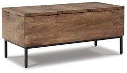 Signature Design by Ashley Braddick Trunk, Light Brown and Black