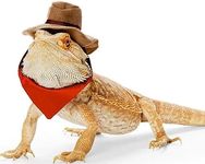 BAMY Bearded Dragon Cowboy Hat and Bandana Set Halloween Lizard Reptile Costume Cool Pet Cap Small Animal Outfit Suit for Cosplay (Cowboy)