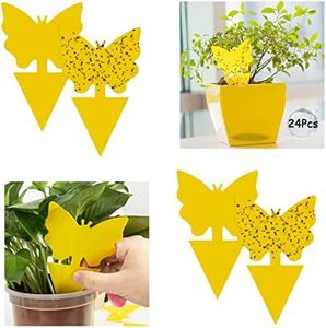 GeekerChip Fruit Fly Traps(24 PCS) Fly Traps,Plant Fly Traps,Yellow Sticky Fly Traps,Fly Paper Sticky Catcher,Sticky Gnat Trap,Non-Toxic and Eco-Friendly Suit For Multiple Insect