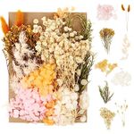 Opopark Natural Dried Flowers Pressed Flowers Real Dried Pressed Flowers and Leaves Dried Flowers Set for Scrapbooking DIY Candle Resin Jewelry Crafts