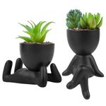 Woltoy Set of 2 Small Artificial Succulent Plants Indoor, Cute Desk Plant Decorative Artificial Flora for Home, Windowsill, Office Desk