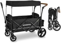 WONDERFOLD X2 Push & Pull Stroller Wagon (2 Seater) - Collapsible Wagon Stroller with 5-Point Seatbelt Harnesses, Push & Pull Handles & Removable Sun Canopy, Pitch Black