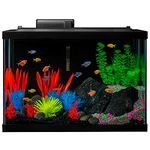 GloFish 20 Gallon Aquarium Kit