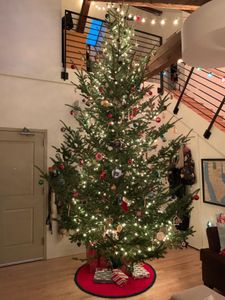 Goliath Steel Christmas Tree Stand – Heavy Duty Holiday Base