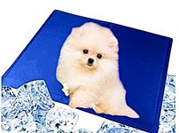 Polyester PetaHouse Premium Soft Cooling pad for Dog (New) (M : 50 CM X 65CM) Activated Comfort Mat,Heat Relief Pressure Bed Specially Designed for Small Dogs and Large Cats (Pack of 1), blue
