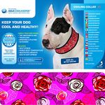 Aqua Coolkeeper cooling collar - Roses - L