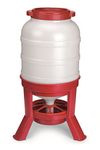 Little Giant® Plastic Dome Feeder | Heavy Duty Plastic Gravity Fed Poultry Feed Container Tank | Backyard Poultry for Hobbyists, Farmers and Ranchers | 60 LB