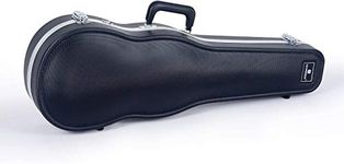 Violin With Cases