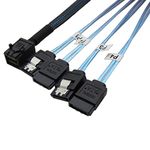 YIWENTEC Internal HD Mini SAS SFF-8643 Host to 4 SATA Target Hard Drive Cable (8643 SATA 1M)