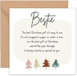 Felbridge Studio - Best Friend Christmas Card - Special Friend Christmas card - Friendship Xmas Cards - Cute Gifts for Friends BFF - 14cm