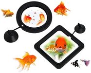 DS. DISTINCTIVE STYLE Fish Feeding Ring 2 Pieces Aquarium and Tank Floating Rings Food Feeders with Suction Cup (Black)