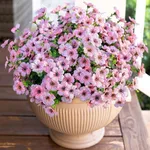 HyeFlora Artificial Faux Outdoor Pl