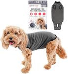 BellyGuard Dog Surgery Recovery Sui