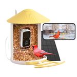 NETVUE Smart Bird Feeder Camera, Solar Bird Camera Auto Notify, Record, Collect Bird Videos Permanently, Bird Watching Camera, Bird House, Mangeoire Oiseaux Exterieur, Gifts for Mom/Dad/Bird Lover