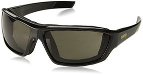 DeWalt DPG83-21D Safety Glasses