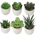 Artificial Succulent Plants Set of 