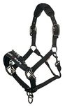 LeMieux ProSafe Headcollar Headcollar - Black, X-Full