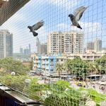 RORIAN High-Visibility Bird Netting for Balconies and Windows | Heavy-Duty, Weatherproof Pigeon Safety Net | Durable Mesh Protection for Home and Garden (10x6ft), Installation Kit Included