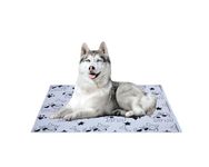 AAZEEM Soft Light Weight Mat for Dogs, Cats & Pets, Skin Friendly Mat| FloorMat | Pet Area Carpet | Anti-Spill 27 X 40 Inches |Black Color|Large Size|