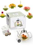 TETWIN Glass Teapot Including 6 Blooming Flower Tea Balls, Stovetop Safe Tea Pot with Removable Infuser for Loose Leaf Tea, 1000ml / 33.8oz