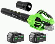 Leaf Blower Cordless with 2 x 4.0Ah Battery and Charger, 580CFM 160MPH Electric Blower with 2 Speeds, 20V Handheld Leaf Cleaner for Lawn Care, Blowing Leaves, Dust, Snow, Gravel for Patio, Yard, Green