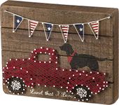 Primitives by Kathy String Art Wooden Box Sign, 10 x 6-Inches, Land That I Love