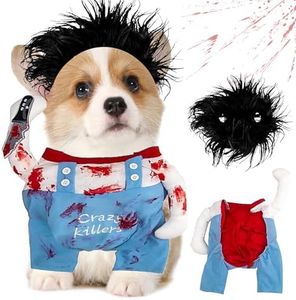 Costume de