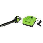 Greenworks Pro 80V Brushless Cordless Axial Blower (145 MPH / 580 CFM) + Greenworks PRO 80V Lithium Ion Single Port Rapid Battery Charger